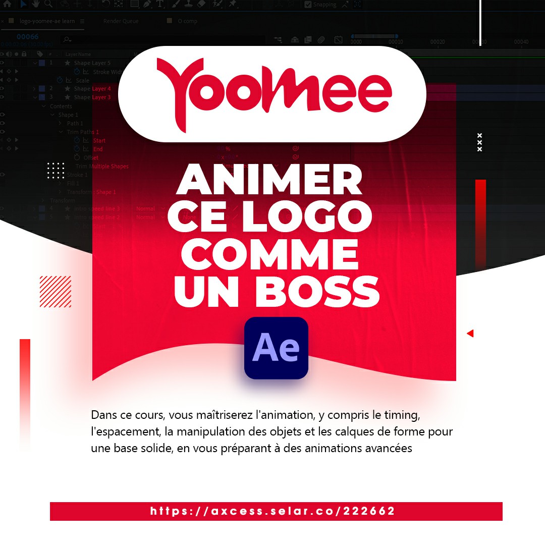 Formation Pro en Animation de Logo 2D