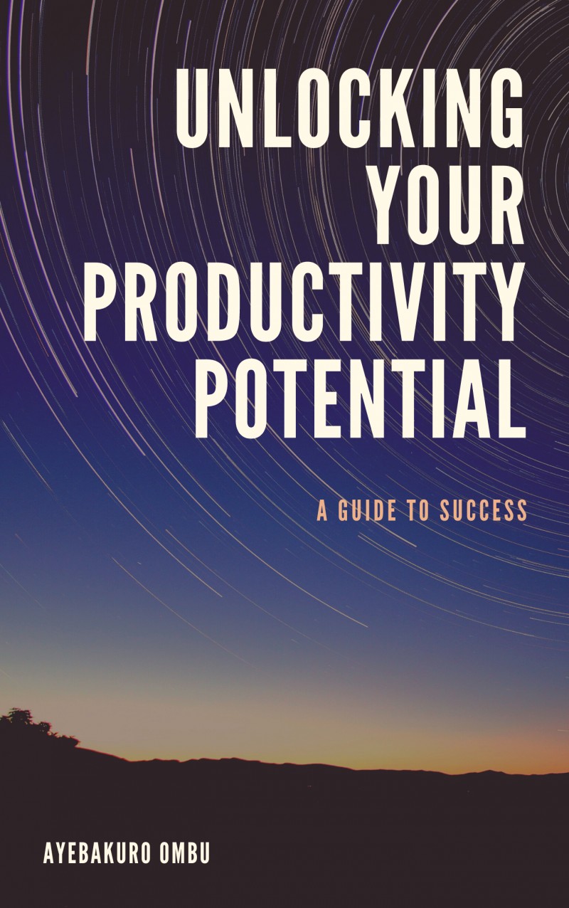 Buy Unlocking Your Productivity Potential A Guide to Success. by(03)