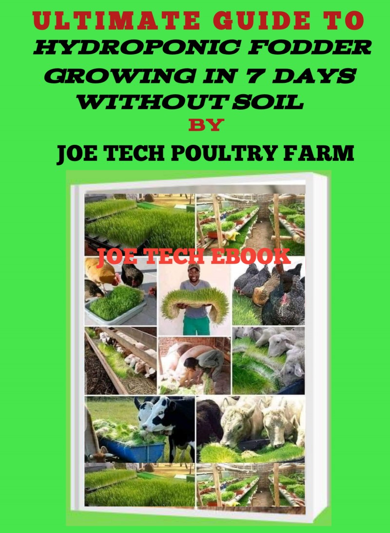 ULTIMATE GUIDE TO HYDROPONIC FODDER GROWING IN 7 DAYS WITHOUT SOIL