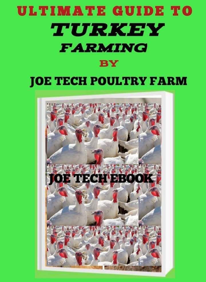 ULTIMATE GUIDE TO TURKEY FARMING
