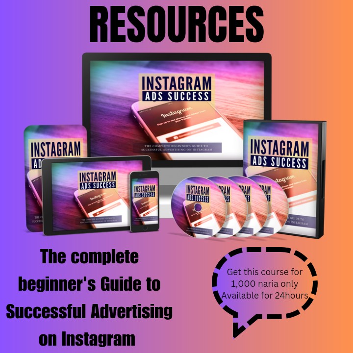Buy THE BEGINNERS GUIDE TO SUCCESSFUL ADVERTISING ON INSTAGRAM by