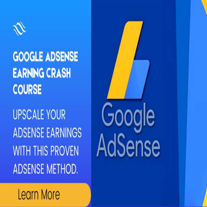 Buy Google AdSense Earning Crash Course by Value Skill on Selar.co