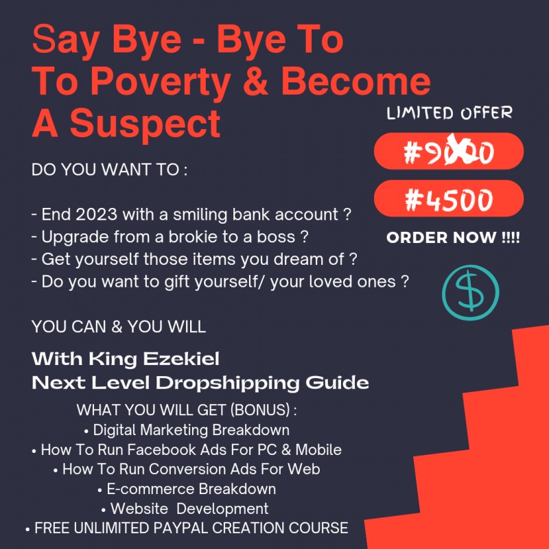Buy Next Level Dropshipping by Chileziem Bornking on Selar