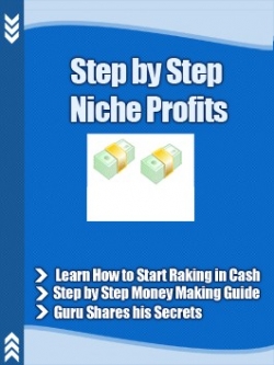 STEP BY STEP NICHE PROFIT