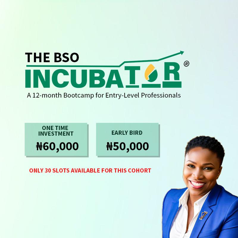 The BSO Incubator (One-Time Investment)