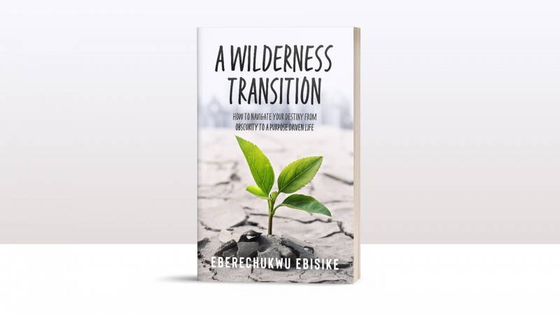 A WILDERNESS TRANSITION