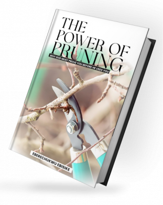 THE POWER OF PRUNING