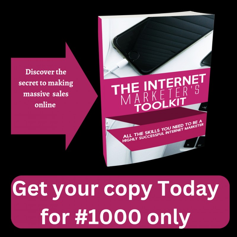 Buy The Internet Marketer Tool kit by Erezi Odjebene on Selar
