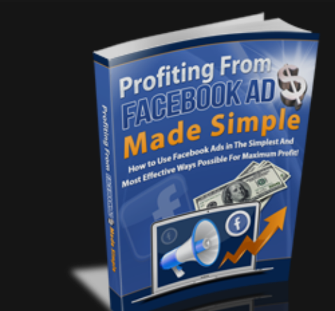 Profiting from Facebook Ads