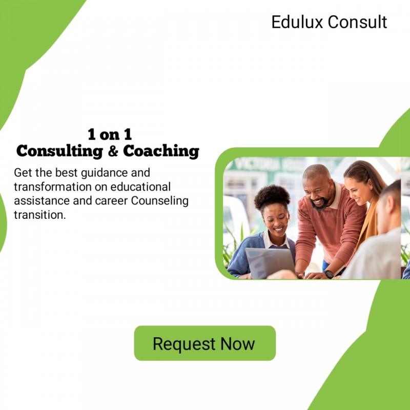 Buy 1 on 1 Coaching and Consulting by Education Lux on Selar