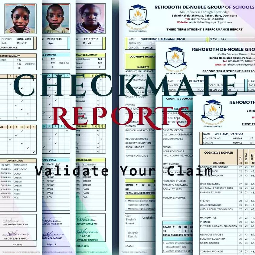CHECKMATE EXCEL SCHOOL (TYPE 1 REPORT INTERFACE)
