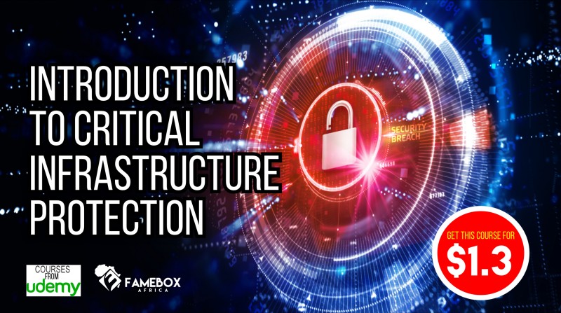 Buy Introduction to Critical Infrastructure Protection by Famebox ...