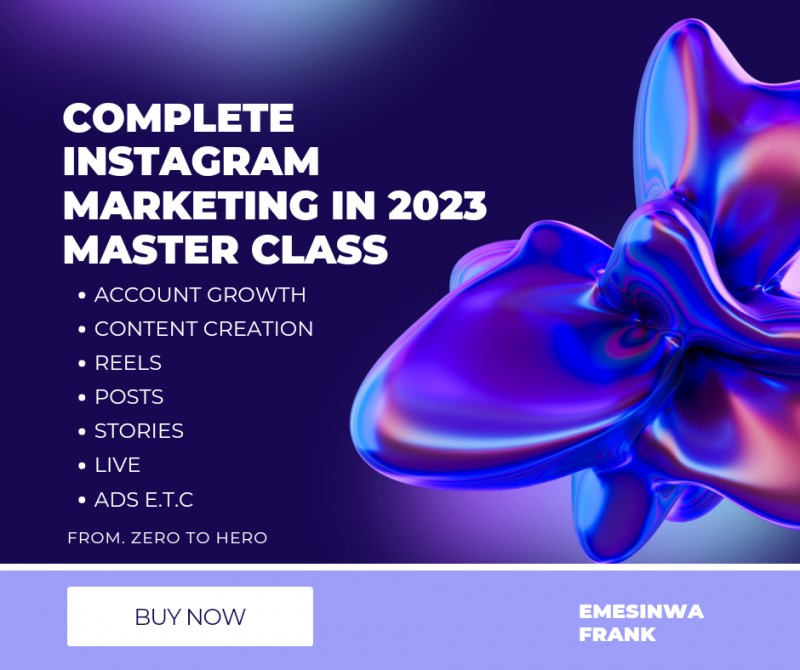 Intagram Master Class Buy Complete Instagram Marketing in 2023 Master Class by Frank Emesinwa ...