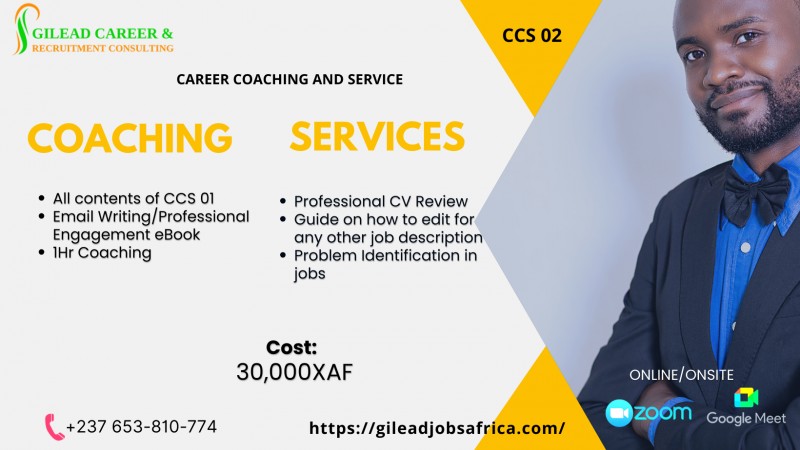 Career Coaching, Professional CV Review and eBook on Emailing Techniques