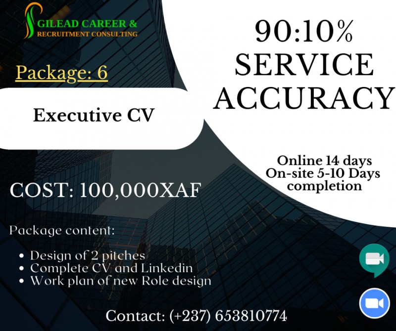 Executive CV Building