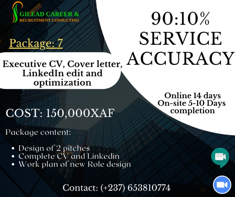 Executive CV, Cover letter, LinkedIn Edit and Optimization
