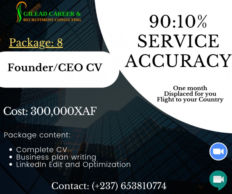 Founder or CEO CV Building
