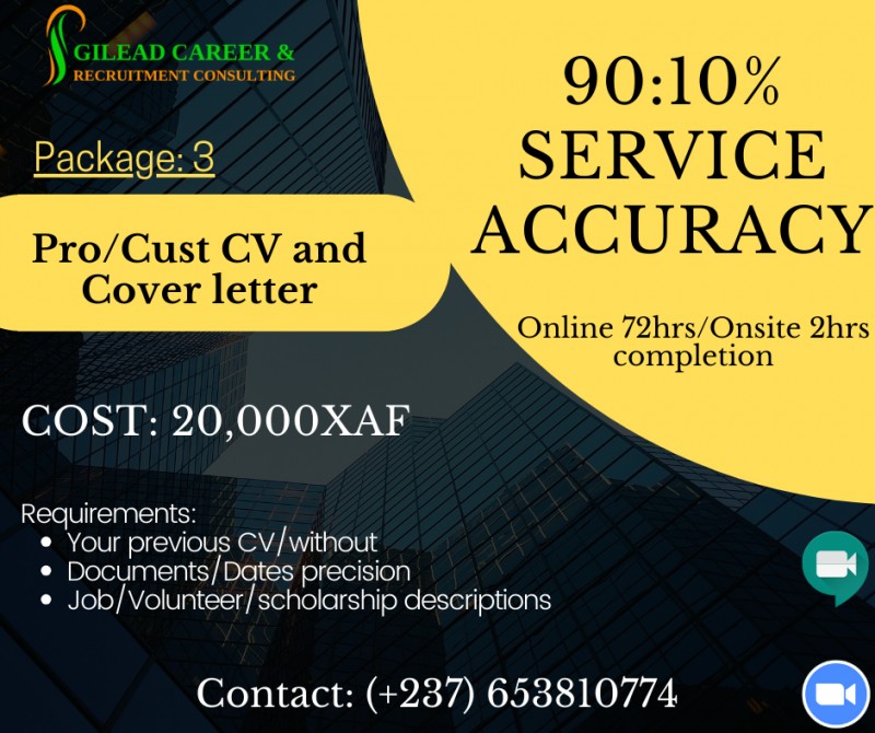 Professional CV and Cover letter Building