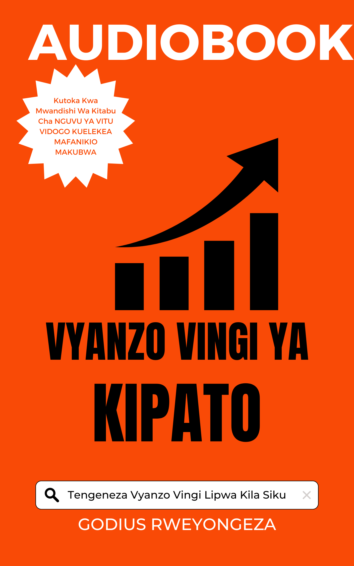 VYANZO VINGI VYA KIPATO (audiobook)
