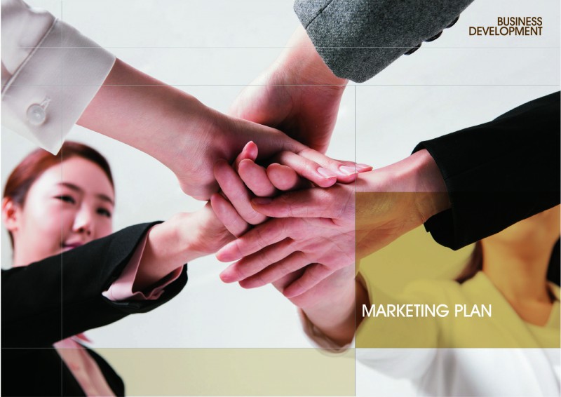 Tasly Business Development Marketing Plan