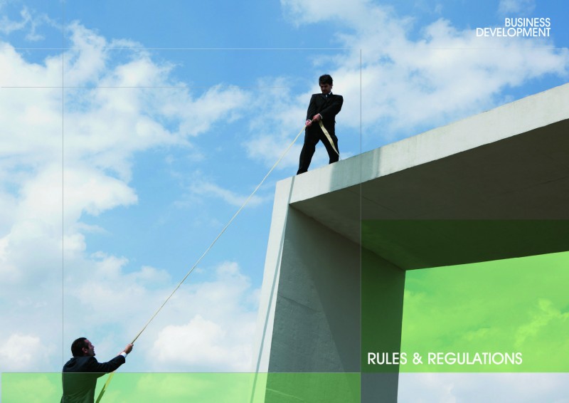 Tasly Business Development Rules and Regulations