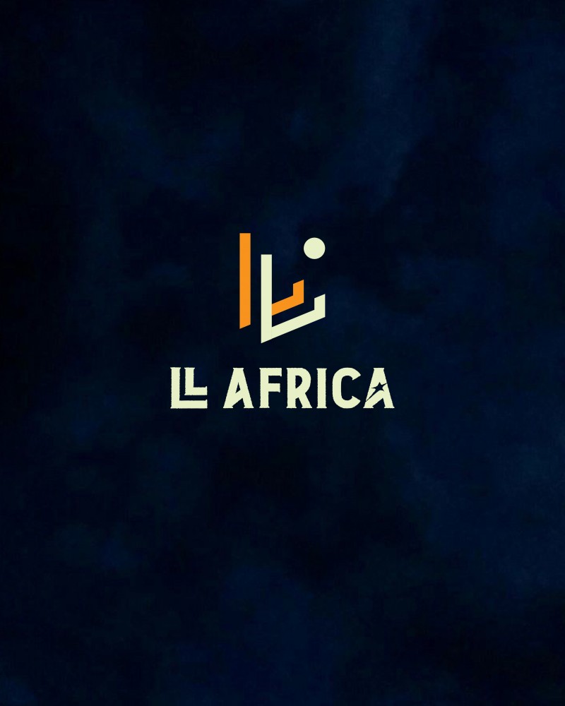 Get Learn and Lead Africa Python programming by Hope B Ozimede on Selar.co