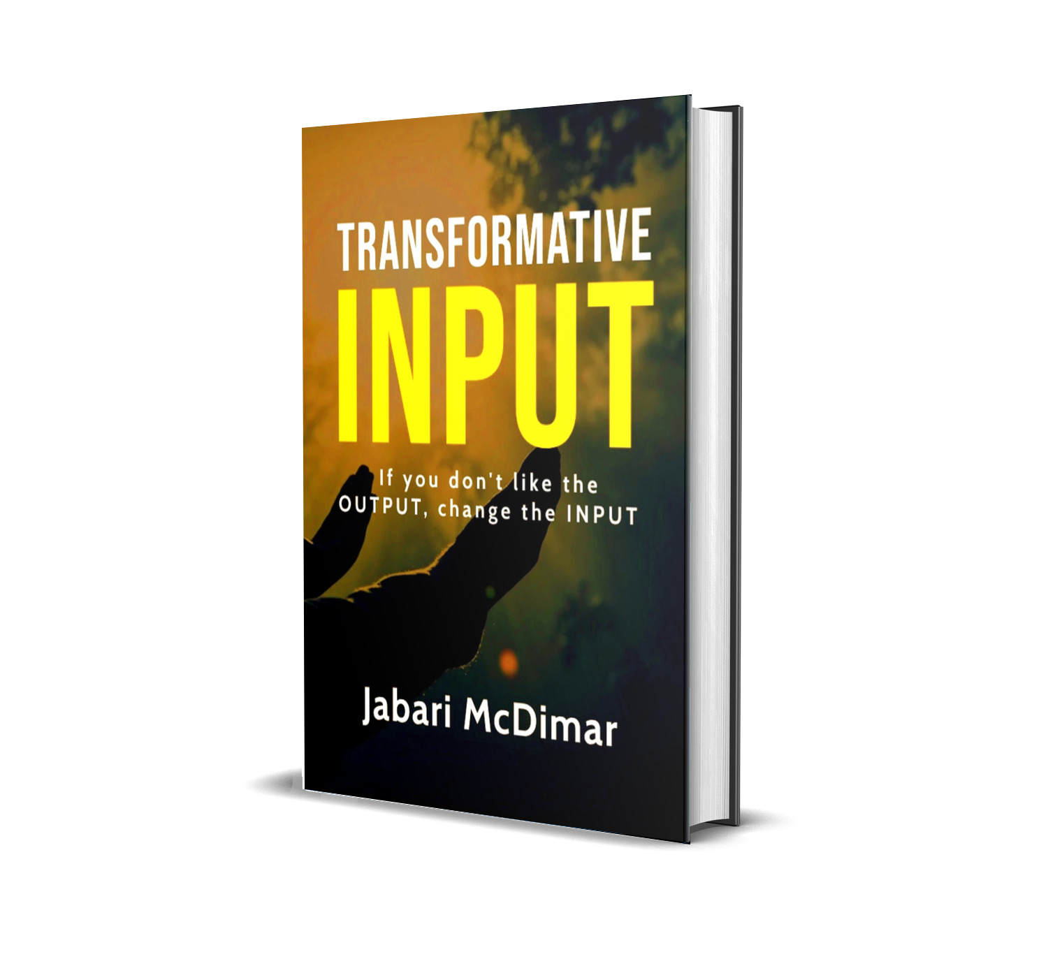 TRANSFORMATIVE INPUT