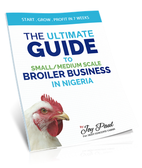 THE ULTIMATE GUIDE TO SMALL/MEDIUM SCALE BROILER BUSINESS IN NIGERIA
