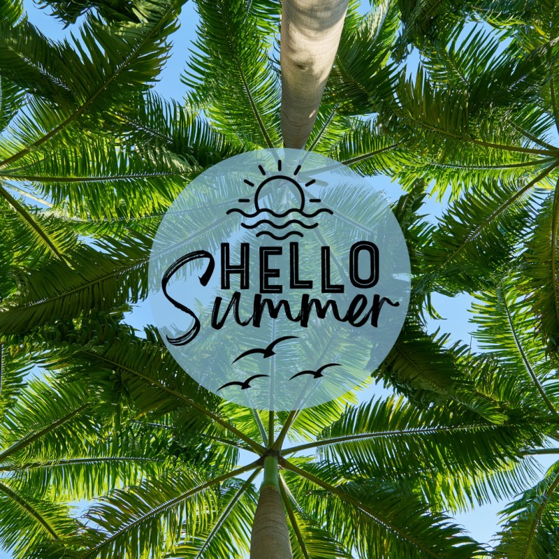 THE ULTIMATE SUMMER GUIDE