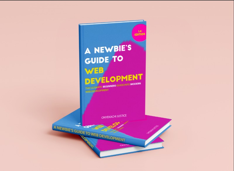 The Newbies guide to web development