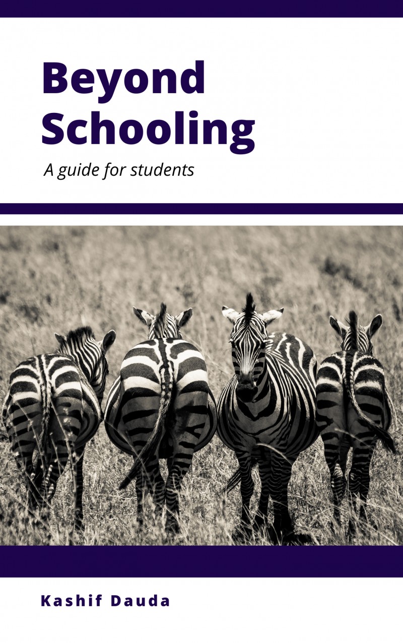Buy BEYOND SCHOOLING by Kashif Dauda on Selar.co