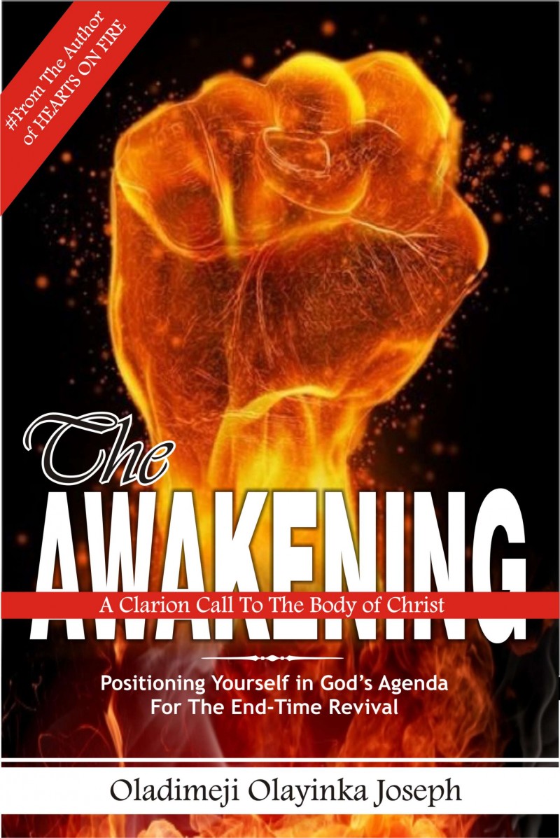 The Awakening: Positioning Yourself In God's Agenda For The End Time Revival