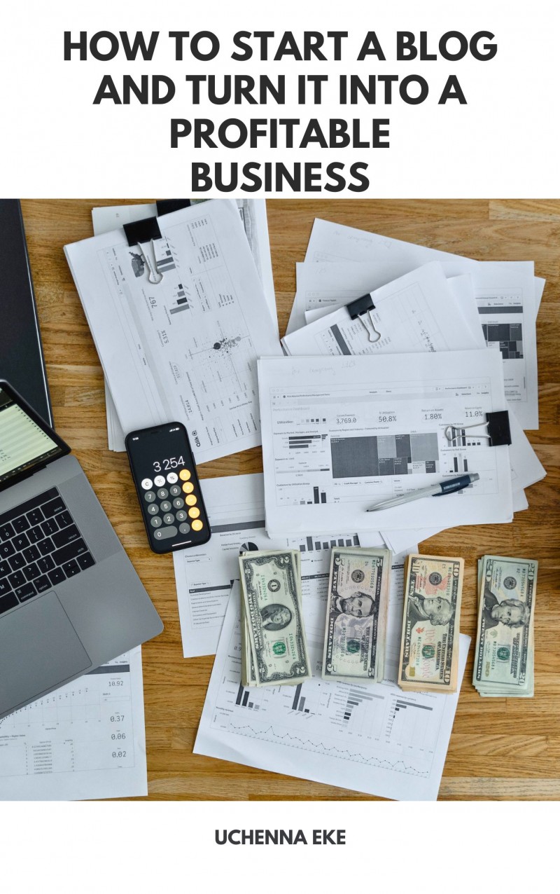 Buy How to start a blog and turn it into a profitable business by ...