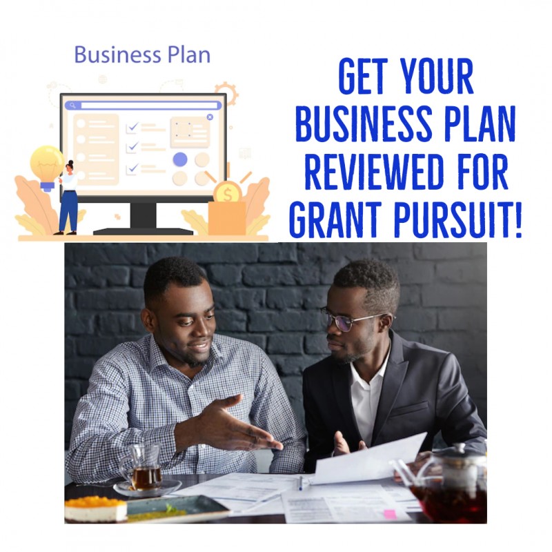 Business Plan Review for Grant Pursuit