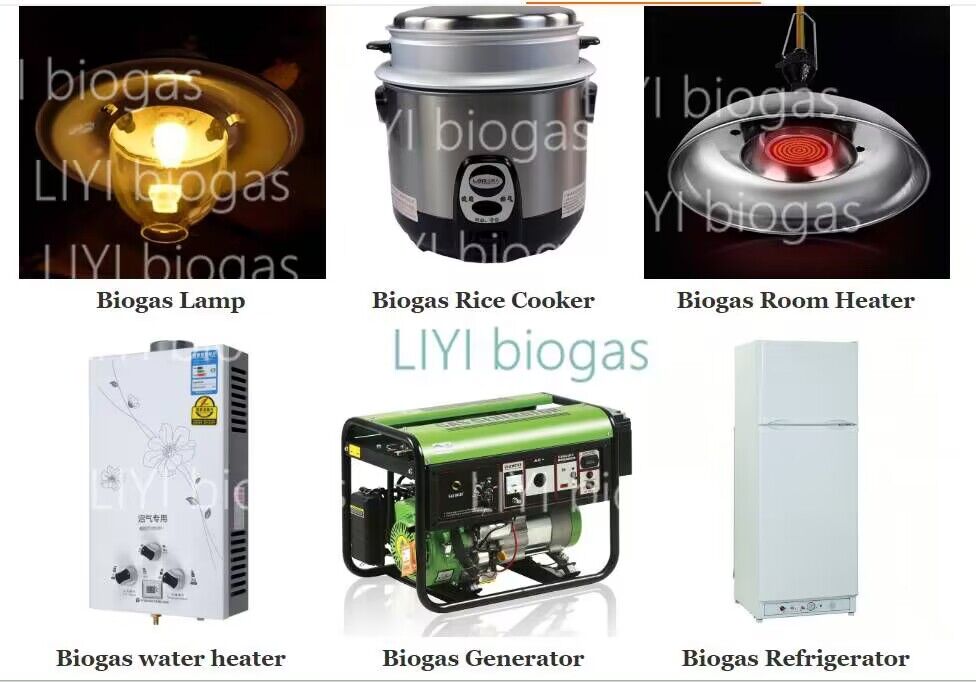 Biogas Training Services (online one-on-one)