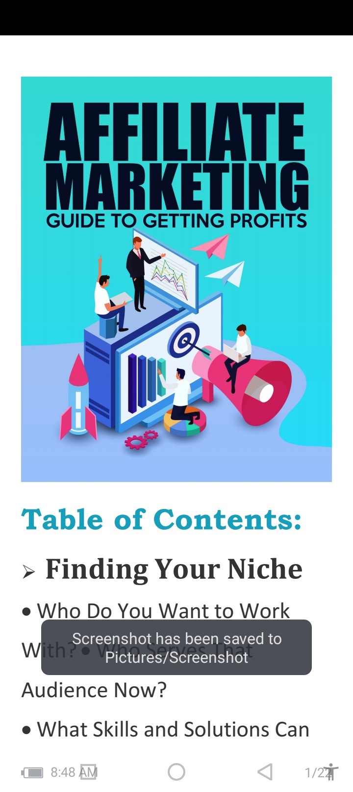Buy Affiliate marketing guide to getting profit by okeke Arinze on Selar