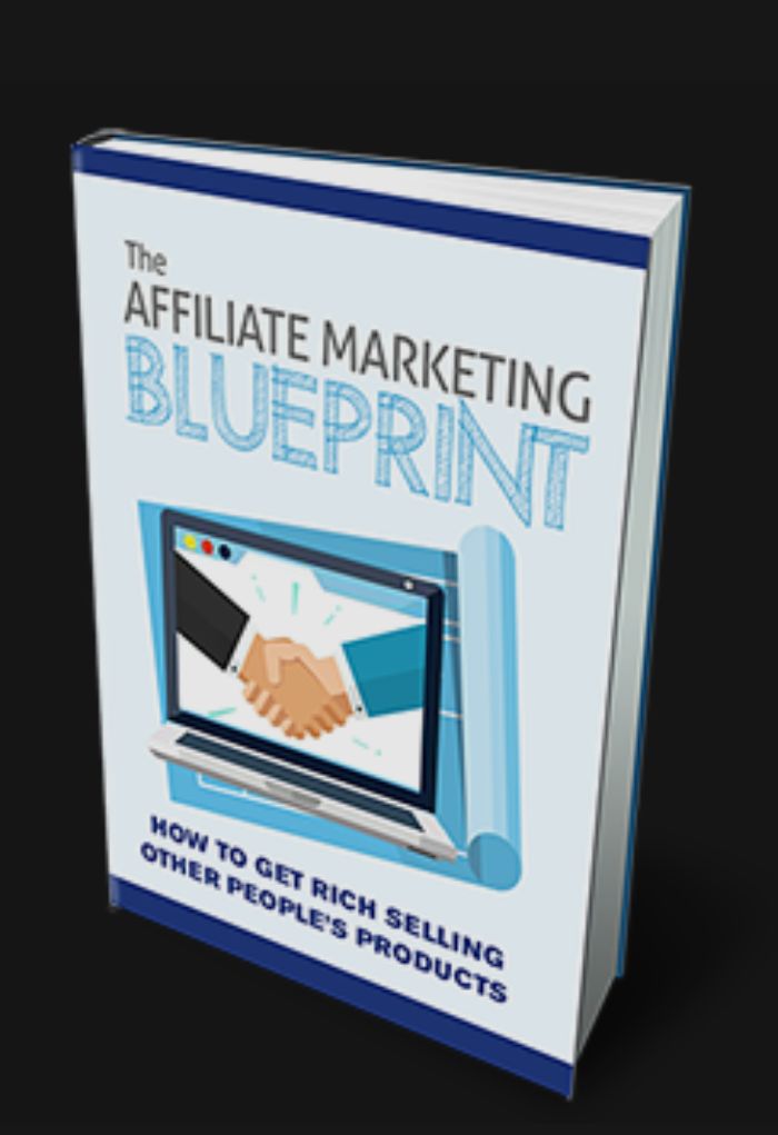 Buy THE AFFILIATE MARKETING BLUEPRINT by Olamide shola on Selar