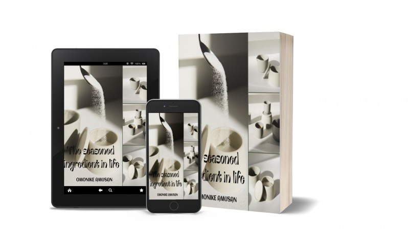 The seasoned ingredient in life (e-book)