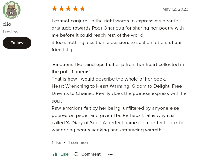 Customer review 3