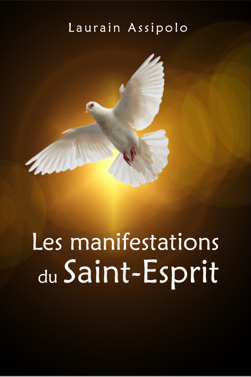 Buy Les manifestations du SaintEsprit by PYGMIES EDITIONS on Selar.co
