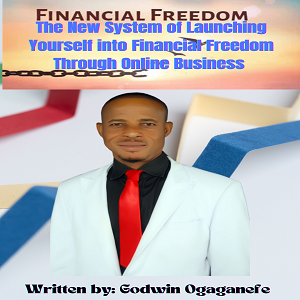 FINANCIAL FREEDOM! The New System of Launching yourself into Financial Freedom Through Online Business