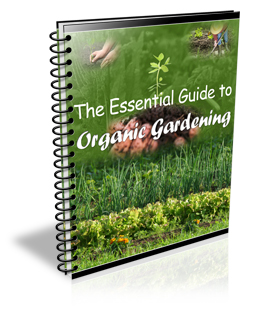 The Essential Guide to Organic Gardening - Grow Healthy, Chemical-Free Food Right From Your Backyard!