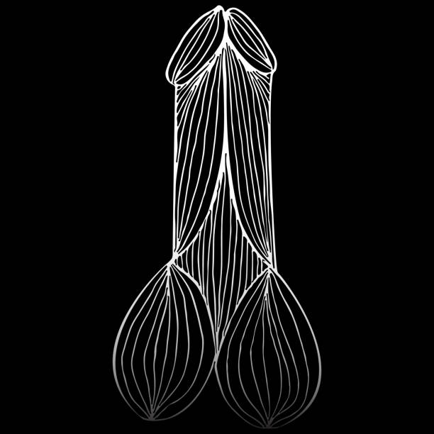 Learn How to Enlarge Your Penis Naturally in 8 WEEKS (Risk Free)