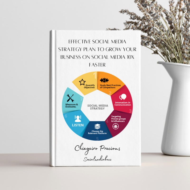 FREE Effective Social Media Strategy Plan to Grow Your Business on Social Media 10X Faster