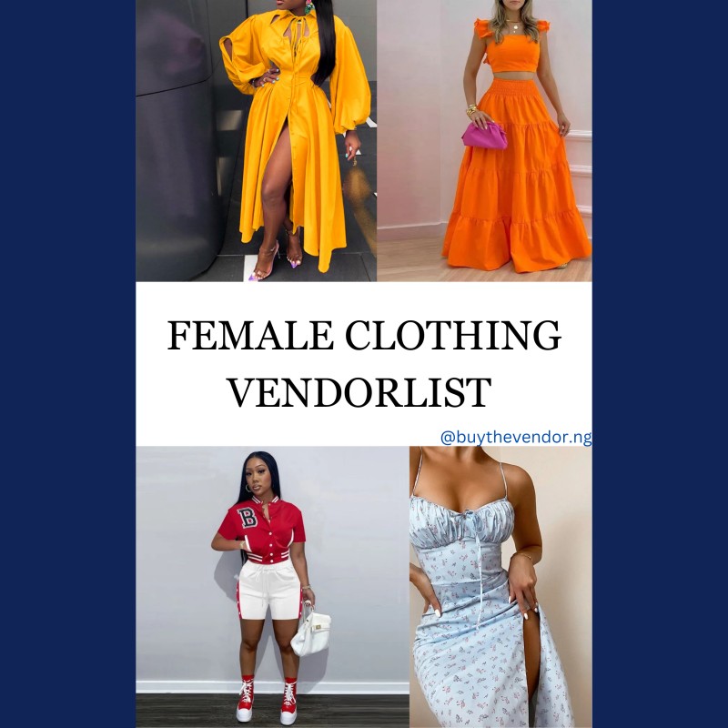 Female Clothing/Ladies/Instagram Wears Suppliers