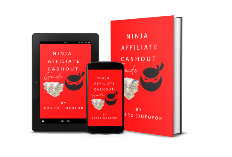 Ninja Affiliate Marketing Cshout Guide