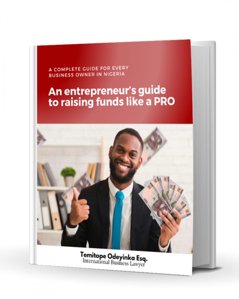 An Entrepreneur's Guide to Raising Funds like a PRO