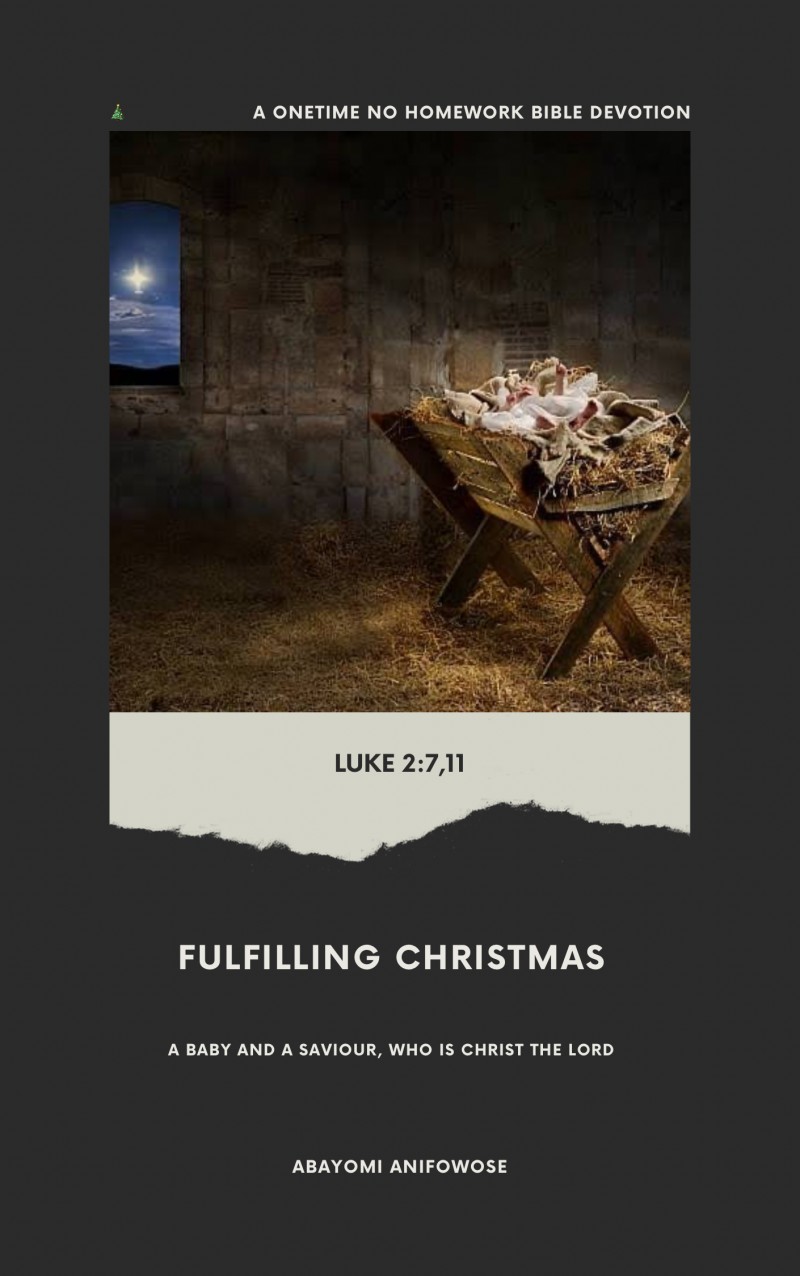Fulfilling Christmas (E-Book)