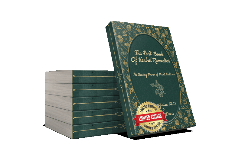 The Lost Book of Herbal Remedies
