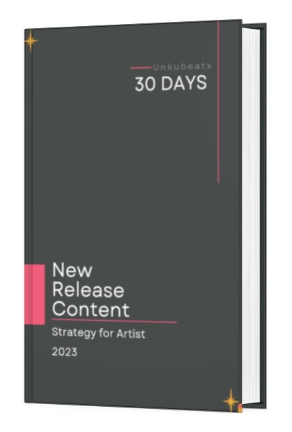 30DAYS NEW RELEASE STRATEGY FOR ARTIST